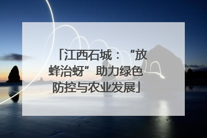 江西石城：“放蜂治蚜”助力绿色防控与农业发展