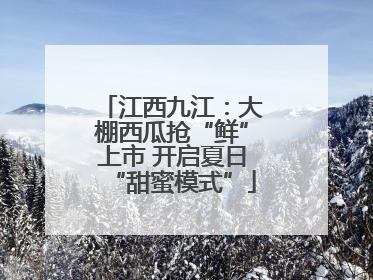 江西九江：大棚西瓜抢“鲜”上市 开启夏日“甜蜜模式”