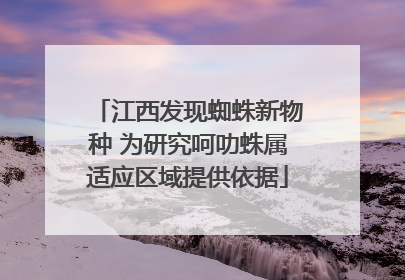 江西发现蜘蛛新物种 为研究呵叻蛛属适应区域提供依据