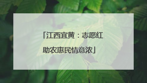 江西宜黄：志愿红助农惠民情意浓