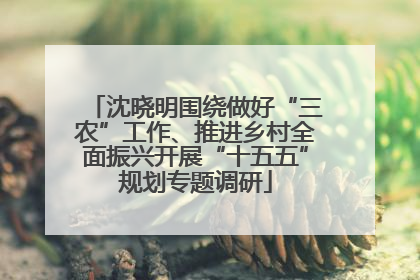 沈晓明围绕做好“三农”工作、推进乡村全面振兴开展“十五五”规划专题调研