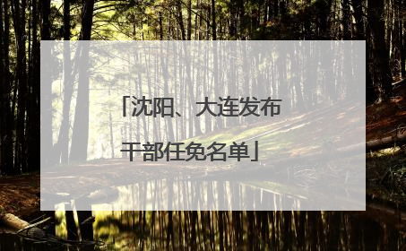 沈阳、大连发布干部任免名单