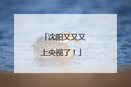 沈阳又又又上央视了！