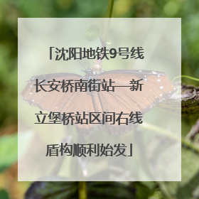 沈阳地铁9号线长安桥南街站—新立堡桥站区间右线盾构顺利始发