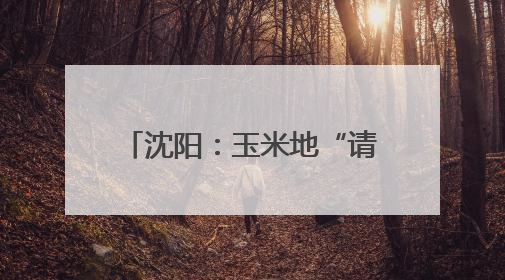 沈阳：玉米地“请”来赤眼蜂 科技赋能农业助绿色增产