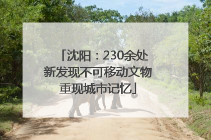 沈阳：230余处新发现不可移动文物重现城市记忆