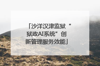 沙洋汉津监狱“狱政AI系统”创新管理服务效能