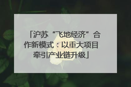 沪苏“飞地经济”合作新模式：以重大项目牵引产业链升级