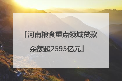 河南粮食重点领域贷款余额超2595亿元