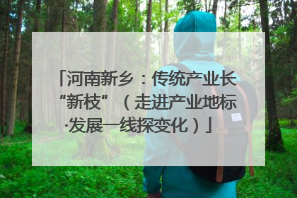 河南新乡：传统产业长“新枝”（走进产业地标·发展一线探变化）