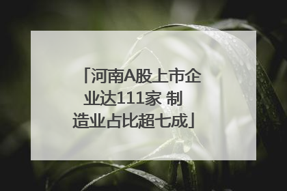 河南A股上市企业达111家 制造业占比超七成
