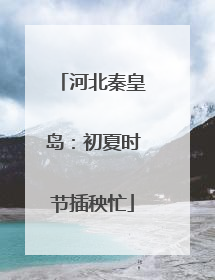 河北秦皇岛：初夏时节插秧忙
