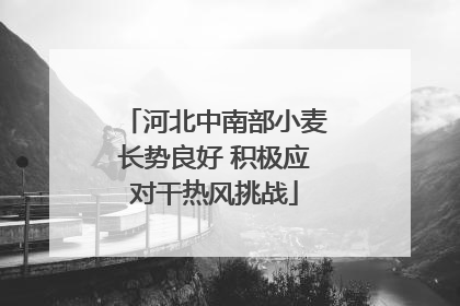 河北中南部小麦长势良好 积极应对干热风挑战