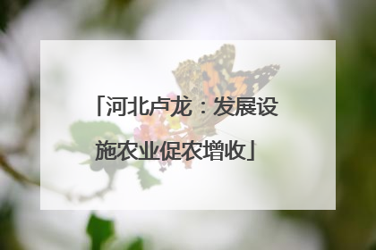 河北卢龙：发展设施农业促农增收