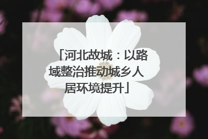 河北故城：以路域整治推动城乡人居环境提升