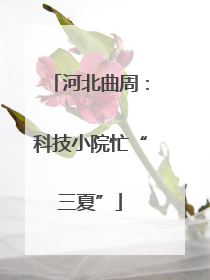 河北曲周：科技小院忙“三夏”
