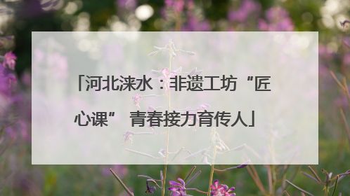 河北涞水：非遗工坊“匠心课” 青春接力育传人