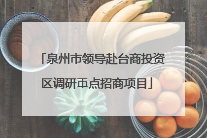泉州市领导赴台商投资区调研重点招商项目