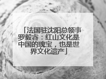 法国驻沈阳总领事罗毅睿：红山文化是中国的瑰宝，也是世界文化遗产