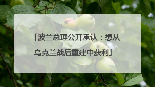 波兰总理公开承认：想从乌克兰战后重建中获利