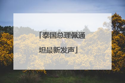 泰国总理佩通坦最新发声