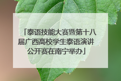 泰语技能大赛暨第十八届广西高校学生泰语演讲公开赛在南宁举办