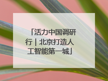 活力中国调研行｜北京打造人工智能第一城
