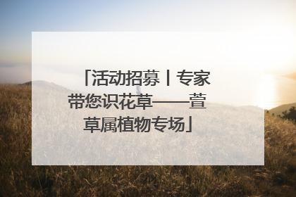 活动招募丨专家带您识花草——萱草属植物专场