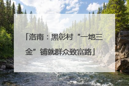 洛南：黑彰村“一地三金”铺就群众致富路