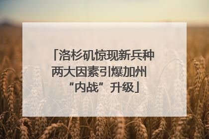 洛杉矶惊现新兵种 两大因素引爆加州“内战”升级