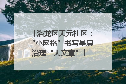 洛龙区天元社区：“小网格”书写基层治理“大文章”