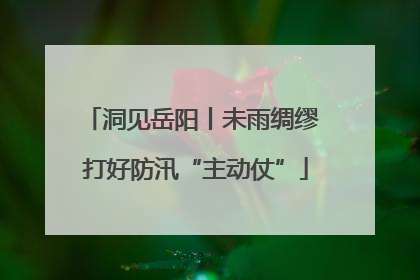 洞见岳阳丨未雨绸缪 打好防汛“主动仗”