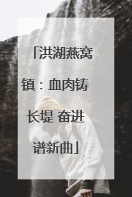 洪湖燕窝镇：血肉铸长堤 奋进谱新曲