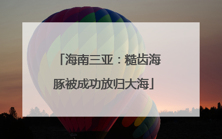 海南三亚：糙齿海豚被成功放归大海