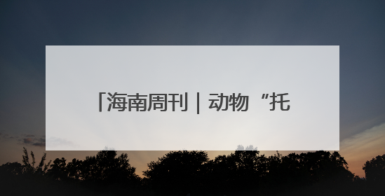 海南周刊｜动物“托儿所”里的双倍母爱