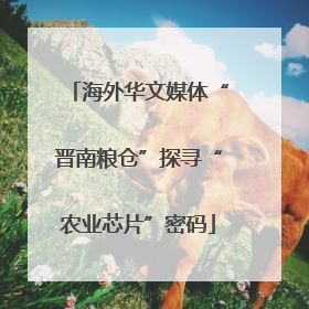 海外华文媒体“晋南粮仓”探寻“农业芯片”密码
