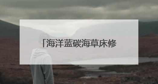 海洋蓝碳海草床修复行动开启 循环经济产业助力低碳社会建设丨新经济观察