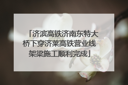 济滨高铁济南东特大桥下穿济莱高铁营业线架梁施工顺利完成