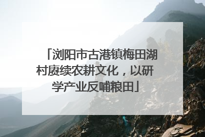 浏阳市古港镇梅田湖村赓续农耕文化，以研学产业反哺粮田