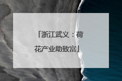 浙江武义：荷花产业助致富