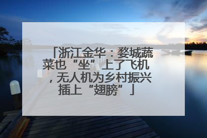 浙江金华：婺城蔬菜也“坐”上了飞机，无人机为乡村振兴插上“翅膀”