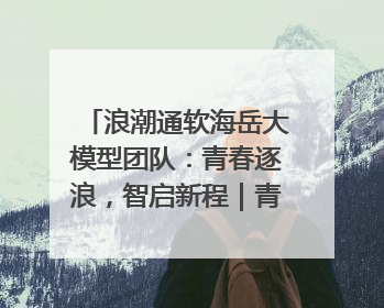 浪潮通软海岳大模型团队：青春逐浪，智启新程｜青春思政课