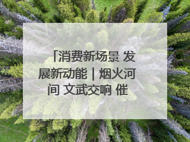 消费新场景 发展新动能｜烟火河间 文武交响 催生“美食+文化”消费新场景