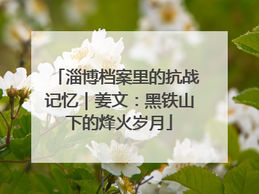 淄博档案里的抗战记忆｜姜文：黑铁山下的烽火岁月