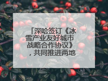 深哈签订《冰雪产业友好城市战略合作协议》，共同推进两地冰雪体育文化旅游高质量发展