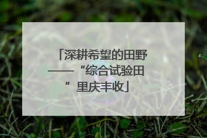 深耕希望的田野——“综合试验田”里庆丰收