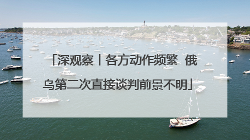 深观察丨各方动作频繁  俄乌第二次直接谈判前景不明