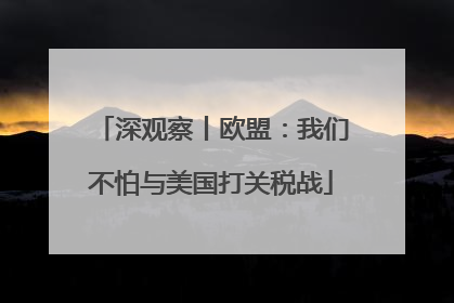 深观察丨欧盟：我们不怕与美国打关税战