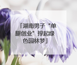 湖南男子“单腿创业”撑起绿色园林梦
