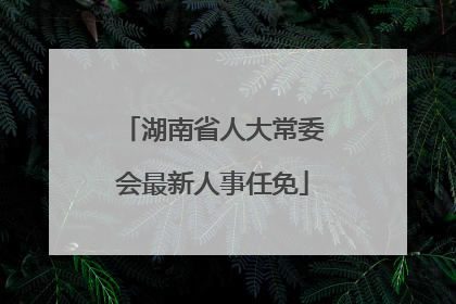 湖南省人大常委会最新人事任免